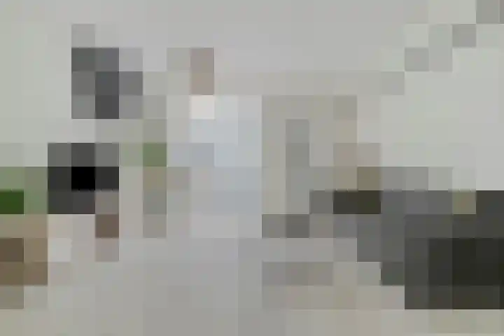 1e Binnenvestgracht 13 Leiden thumbnail 5