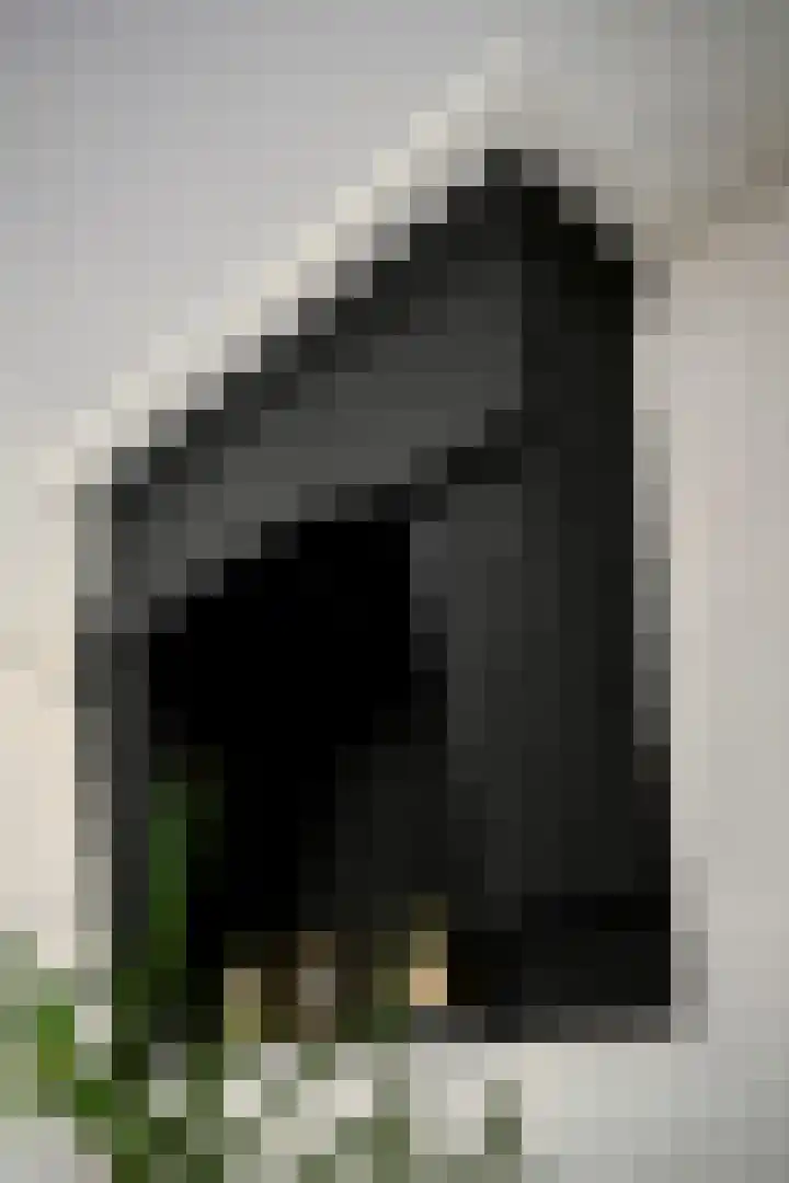 1e Binnenvestgracht 13 Leiden thumbnail 8