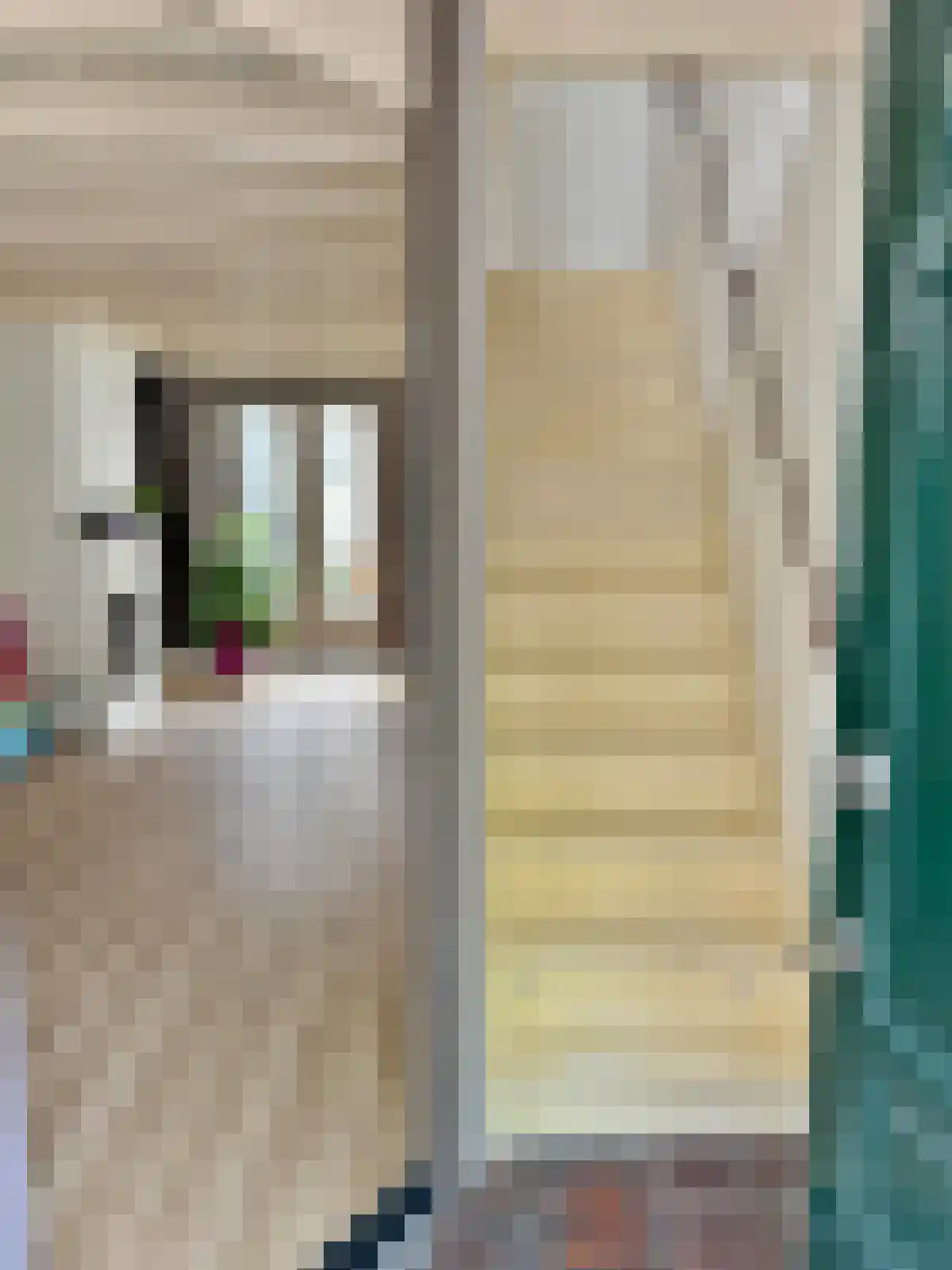 1e Binnenvestgracht 14 Leiden thumbnail 6
