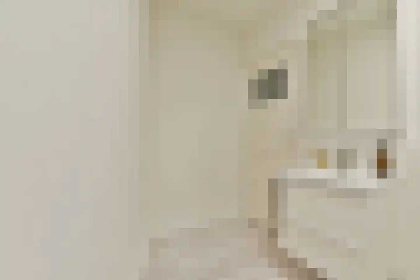1e Binnenvestgracht 16 Leiden thumbnail 15