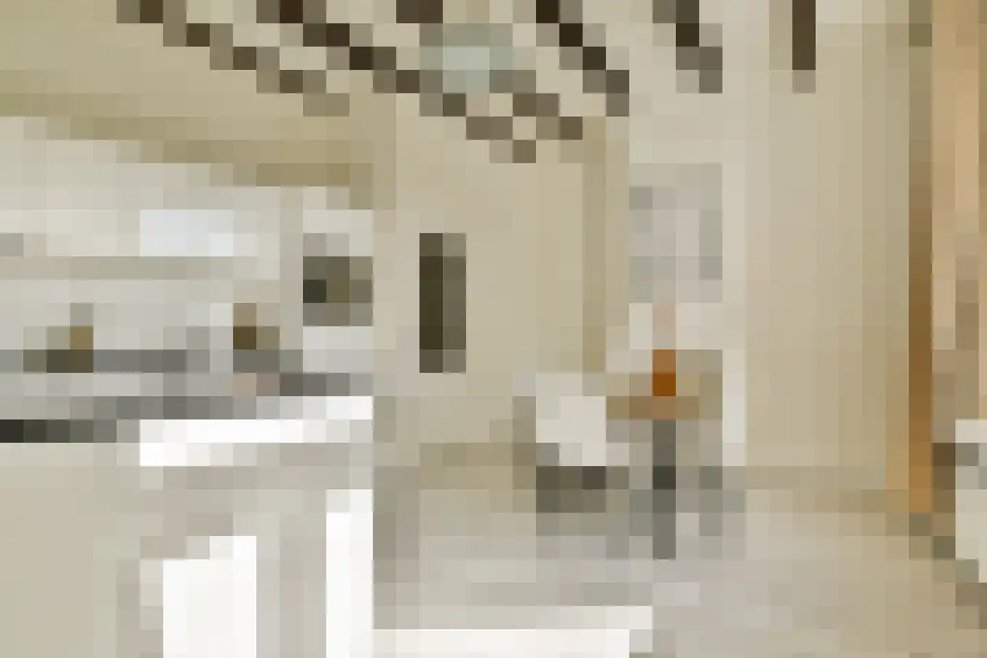 1e Binnenvestgracht 16 Leiden thumbnail 19