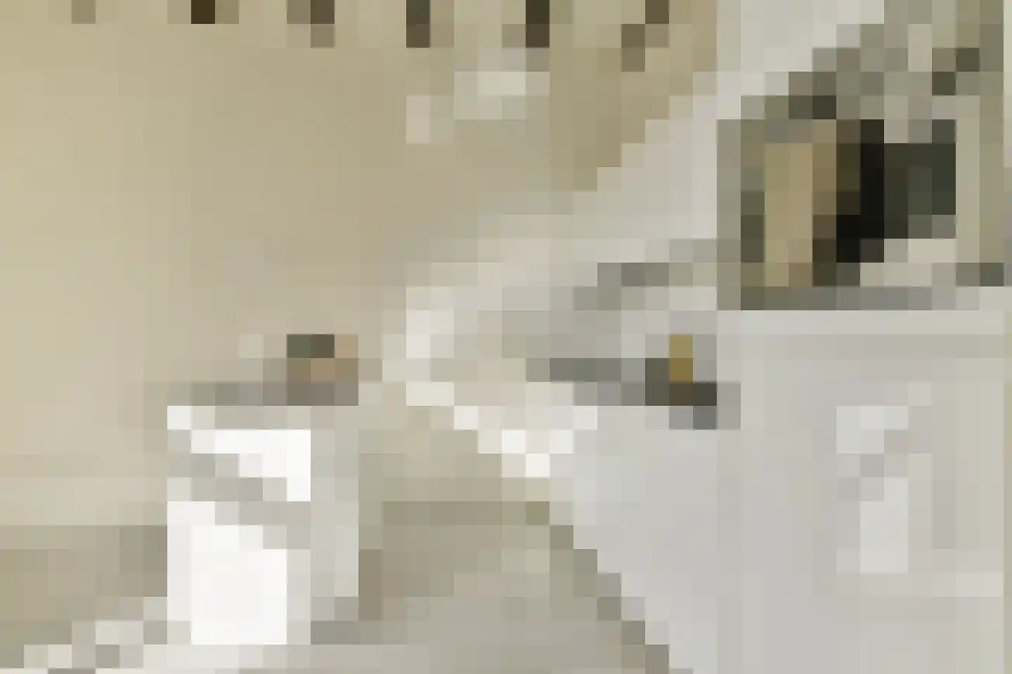 1e Binnenvestgracht 16 Leiden thumbnail 22