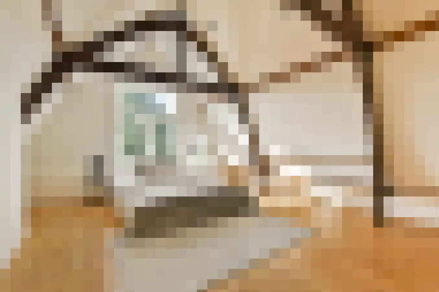 1e Binnenvestgracht 16 Leiden thumbnail 31