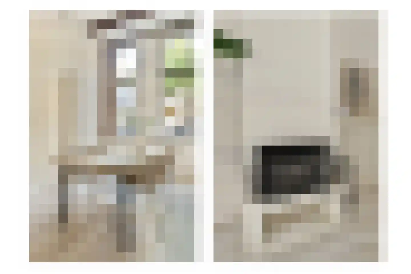 1e Binnenvestgracht 16 Leiden thumbnail 9