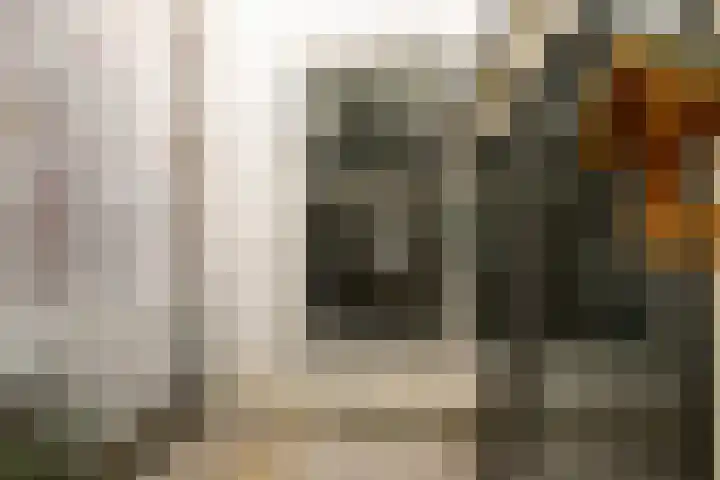1e Binnenvestgracht 5 Leiden thumbnail 17
