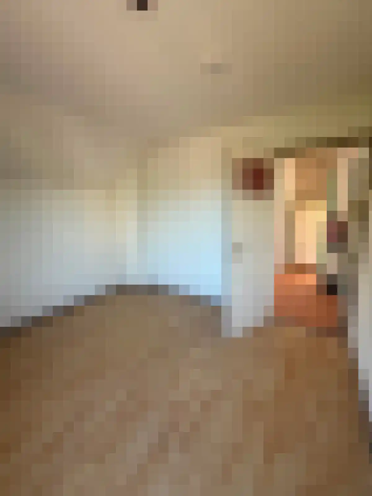 1e Binnenvestgracht Leiden thumbnail 5