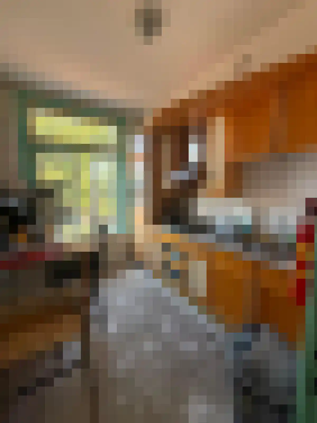 1e Binnenvestgracht Leiden thumbnail 6