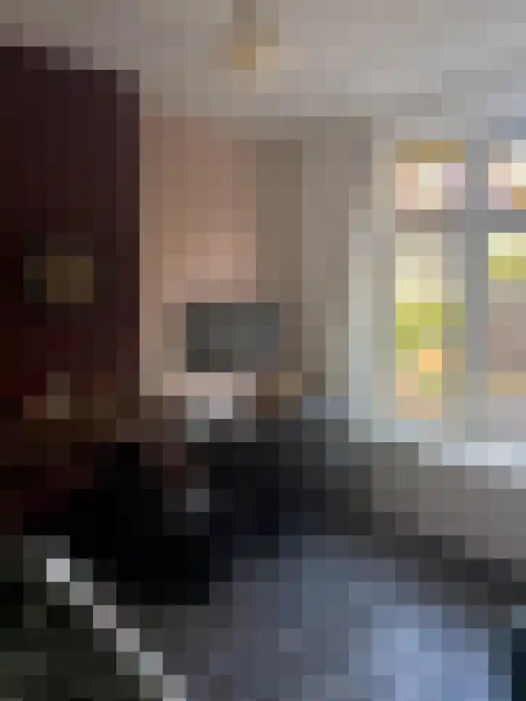 1e Binnenvestgracht Leiden thumbnail 8