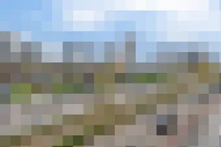 1e Blekerhof 62 D Rotterdam thumbnail 5