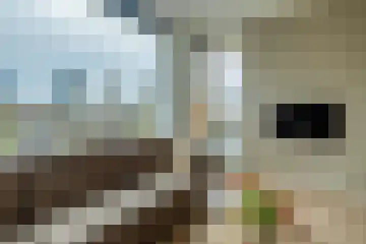 1e Blekerhof 62 D Rotterdam thumbnail 7