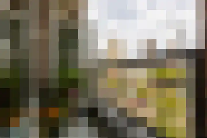 1e Blekerhof 63 E Rotterdam thumbnail 11