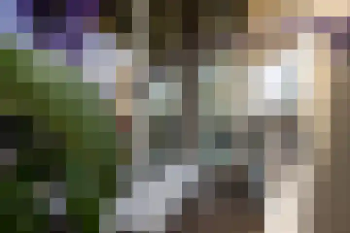 1e Blekerhof 63 E Rotterdam thumbnail 26