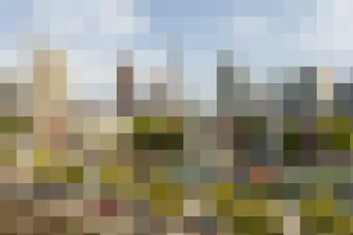 1e Blekerhof 63 E Rotterdam thumbnail 27