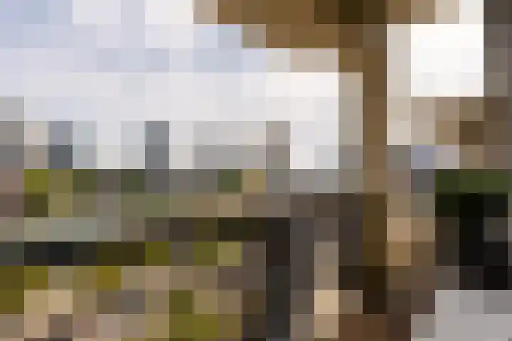 1e Blekerhof 63 E Rotterdam thumbnail 28