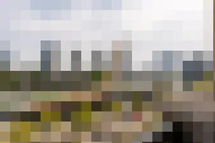 1e Blekerhof 63 E Rotterdam thumbnail 29