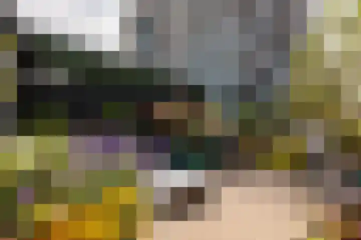 1e Blekerhof 63 E Rotterdam thumbnail 30