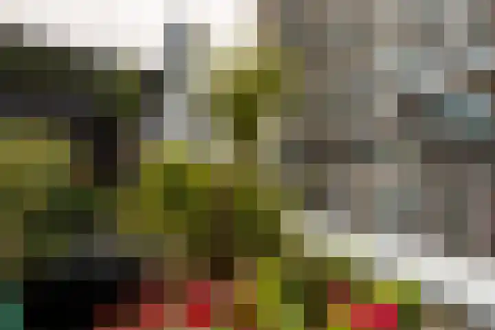 1e Blekerhof 63 E Rotterdam thumbnail 31