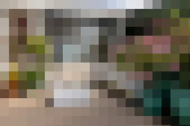 1e Blekerhof 63 E Rotterdam thumbnail 33