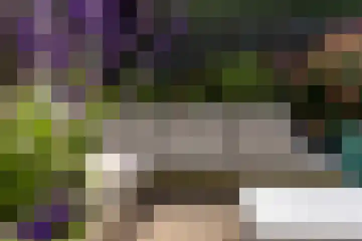 1e Blekerhof 63 E Rotterdam thumbnail 35