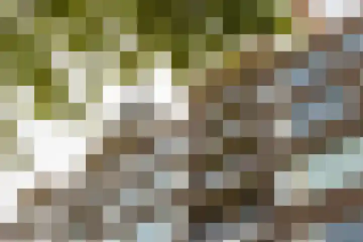 1e Blekerhof 63 E Rotterdam thumbnail 36