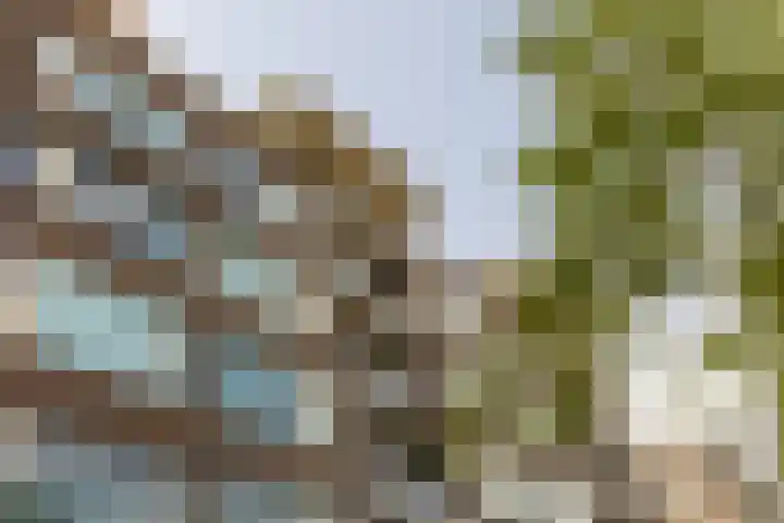 1e Blekerhof 63 E Rotterdam thumbnail 37
