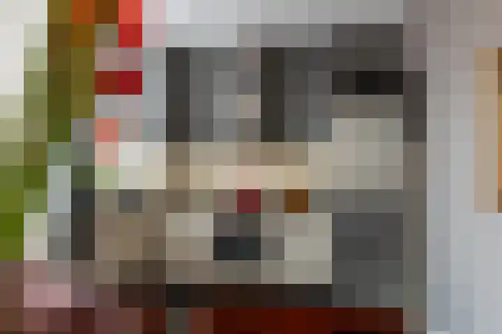 1e Blekerhof 63 E Rotterdam thumbnail 4