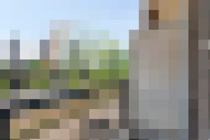 1e Blekerhof 64 C Rotterdam thumbnail 10