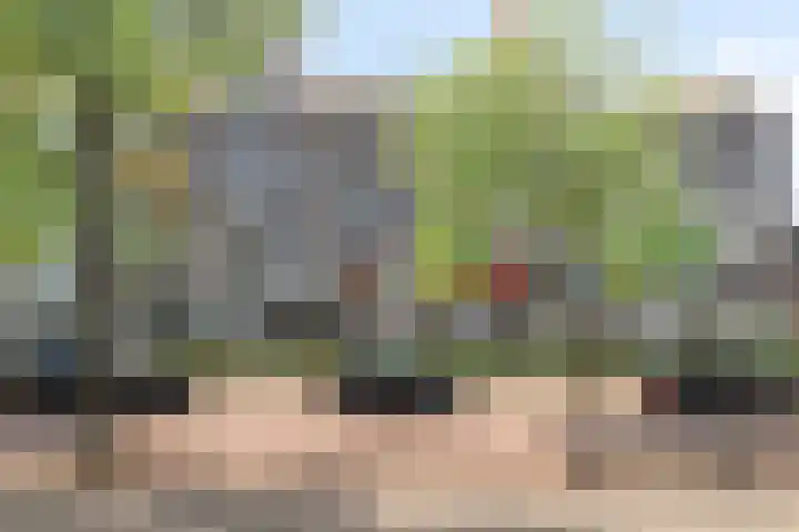 1e Blekerhof 64 C Rotterdam thumbnail 24