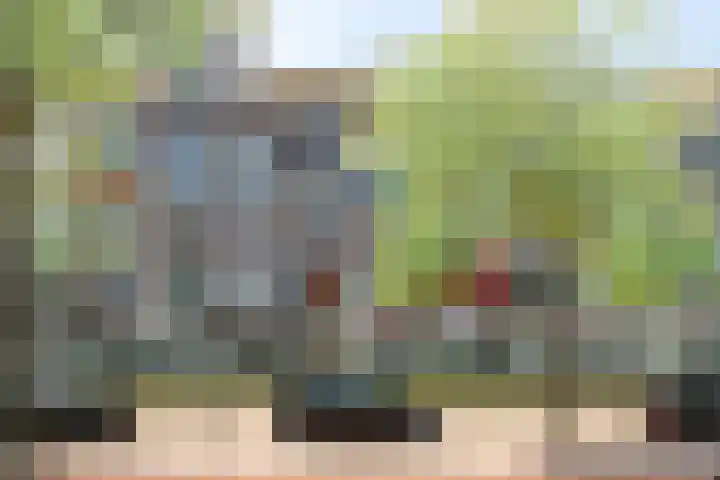 1e Blekerhof 64 C Rotterdam thumbnail 25