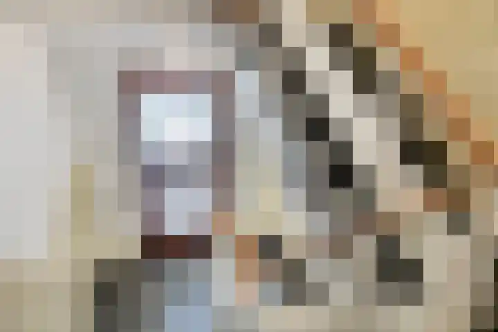1e Blekerhof 64 C Rotterdam thumbnail 27