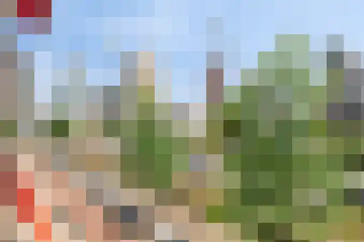 1e Blekerhof 64 C Rotterdam thumbnail 30