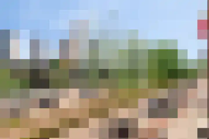 1e Blekerhof 64 C Rotterdam thumbnail 31