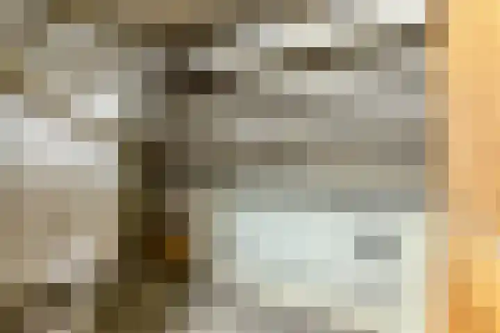1e Blekerhof 64 C Rotterdam thumbnail 32