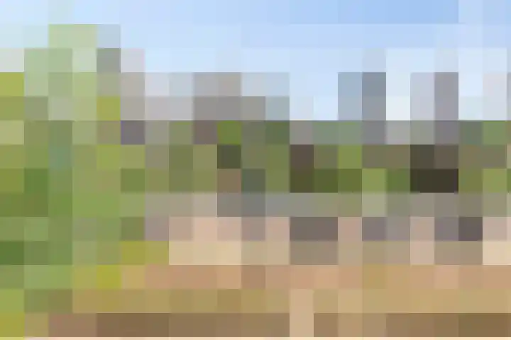 1e Blekerhof 64 C Rotterdam thumbnail 4