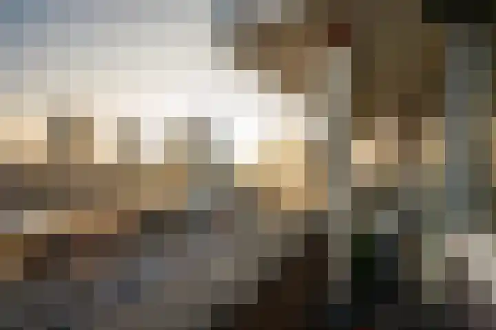 1e Blekerhof 64 E Rotterdam thumbnail 33