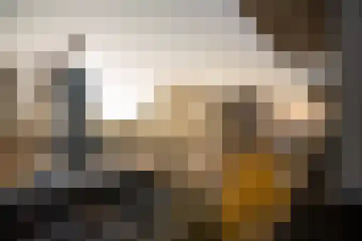 1e Blekerhof 64 E Rotterdam thumbnail 34