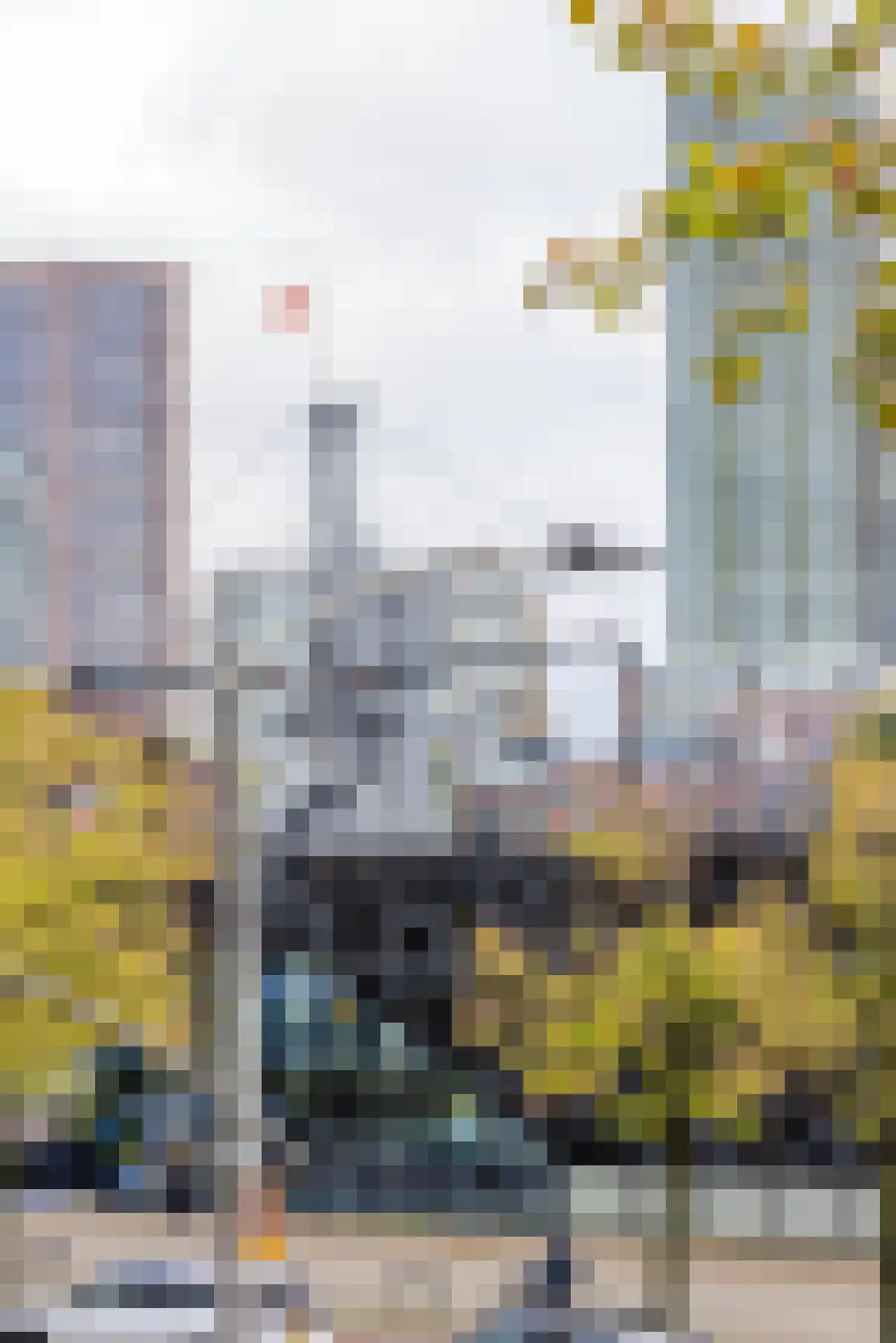 1e Blekerhof 69 B Rotterdam thumbnail 31