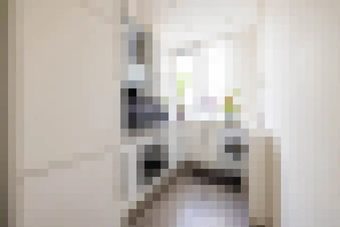 1e Blekerhof 69 B Rotterdam thumbnail 7