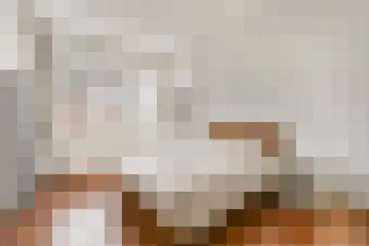 1e Blekerhof 69 D Rotterdam thumbnail 10