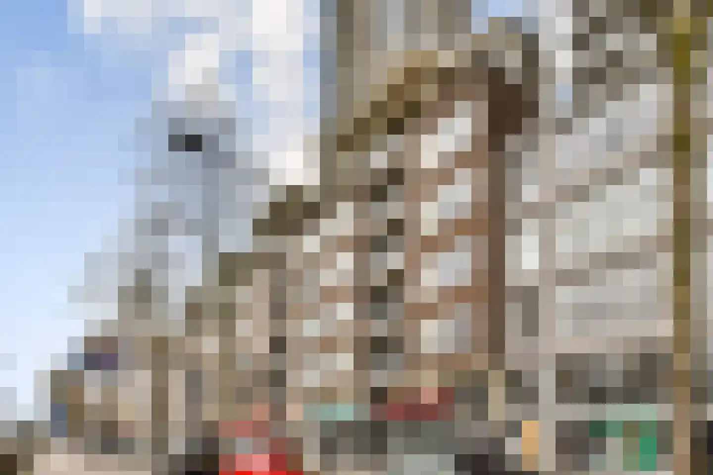 1e Blekerhof 69 D Rotterdam thumbnail 4