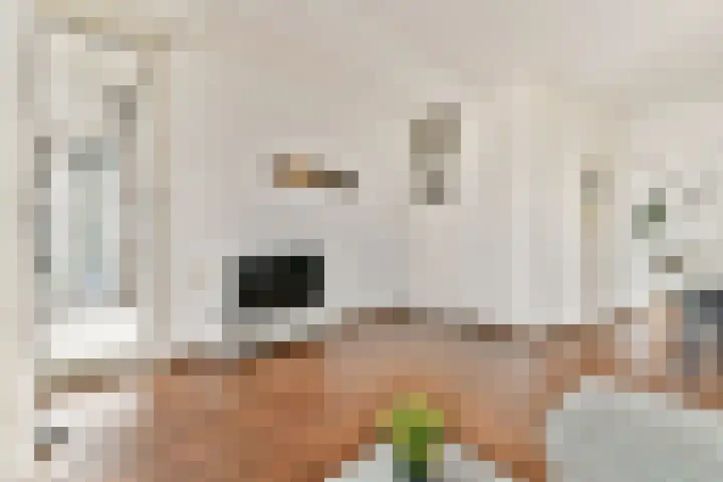 1e Blekerhof 69 D Rotterdam thumbnail 6