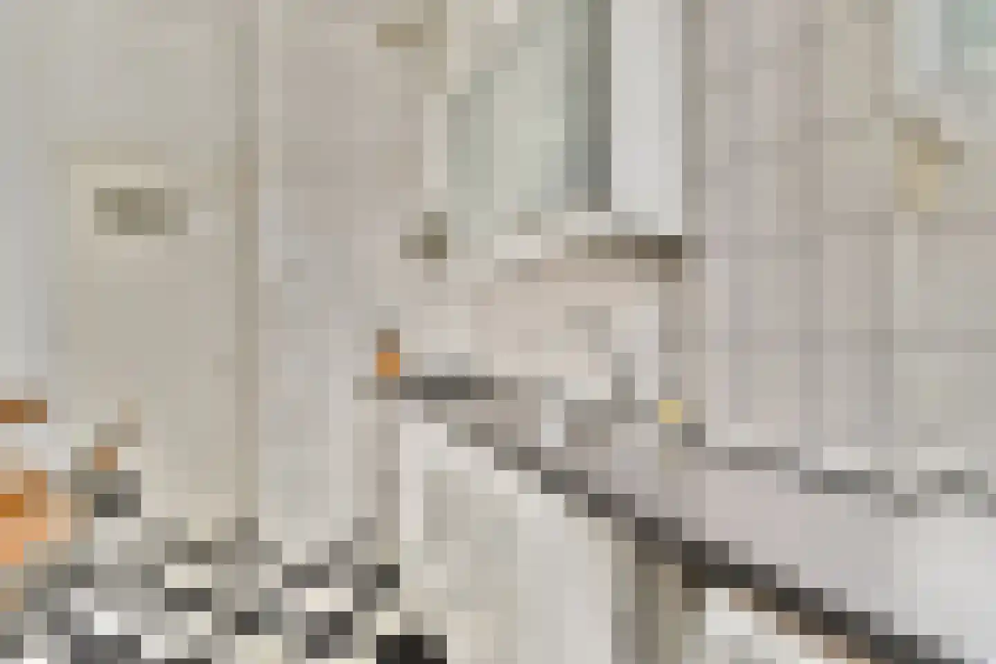 1e Blekerhof 69 D Rotterdam thumbnail 9