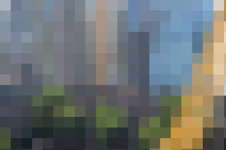 1e Blekerhof 74 C Rotterdam thumbnail 19