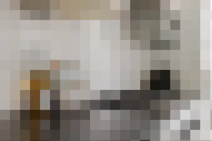 1e Blekerhof 78 C Rotterdam thumbnail 21