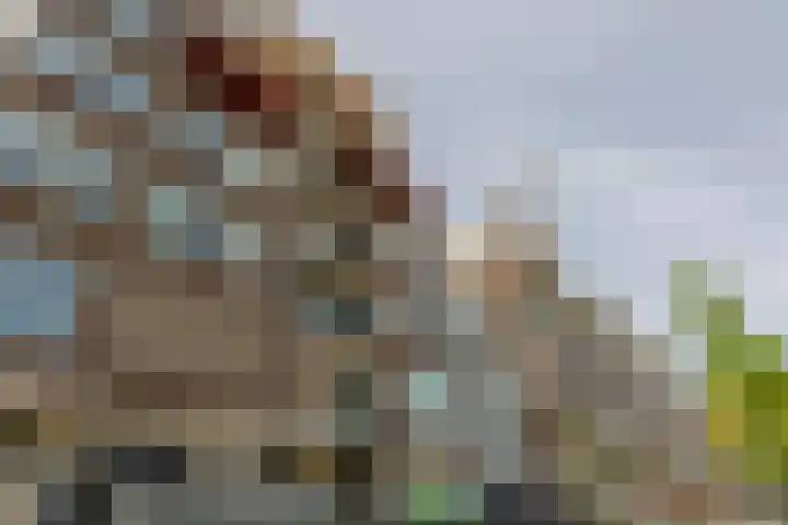 1e Blekerhof 78 C Rotterdam thumbnail 25