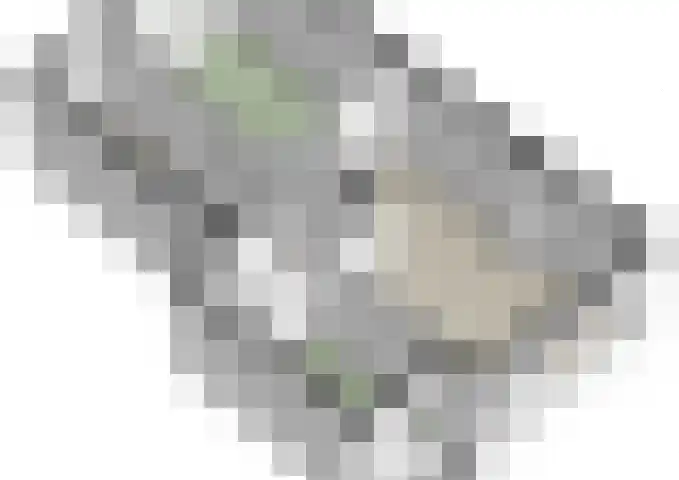 1e Blekerhof 78 C Rotterdam thumbnail 30