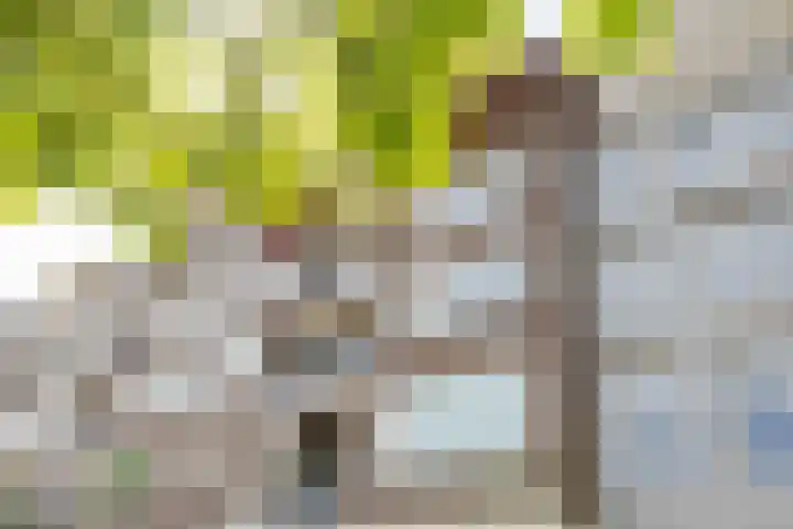1e Blekerhof 78 C Rotterdam thumbnail 32