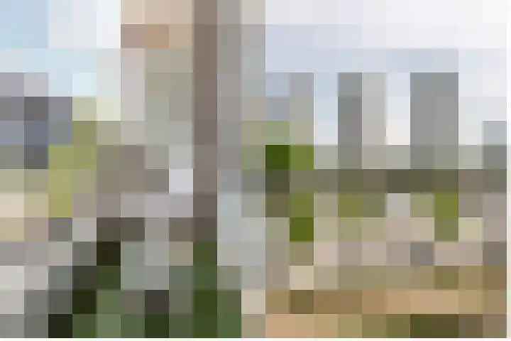 1e Blekerhof 78 C Rotterdam thumbnail 9