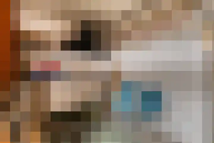 1e Blekerhof 82 D Rotterdam thumbnail 25