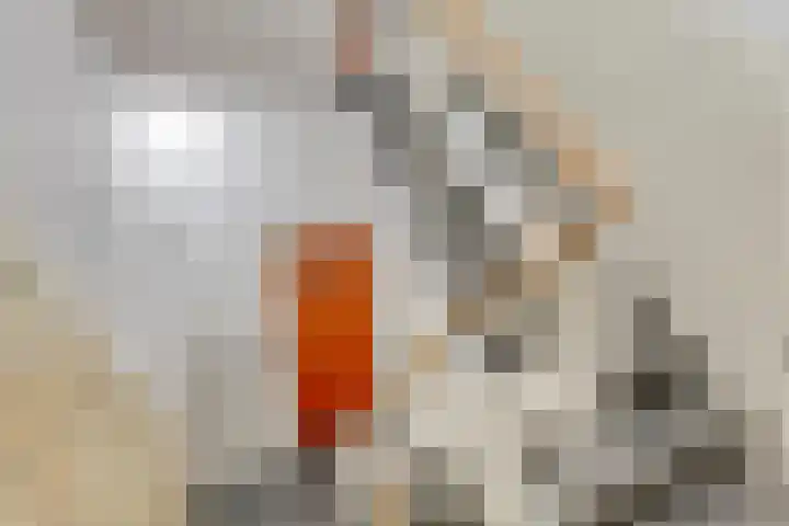 1e Blekerhof 82 D Rotterdam thumbnail 31